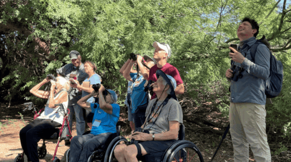Birdability outing