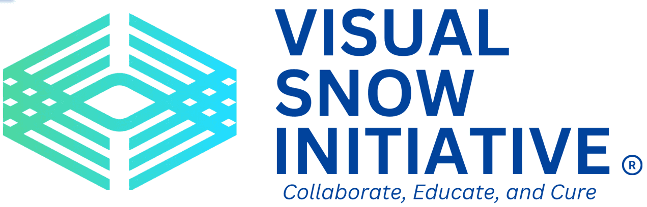 vsi logo may 2026 2